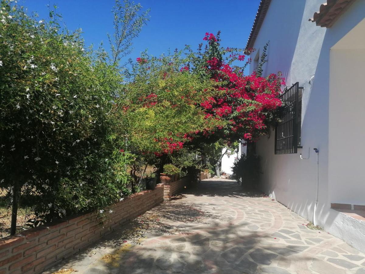 Vila Casa Luis Viñuela Exteriér fotografie